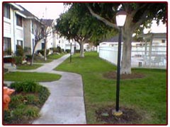 light pole
